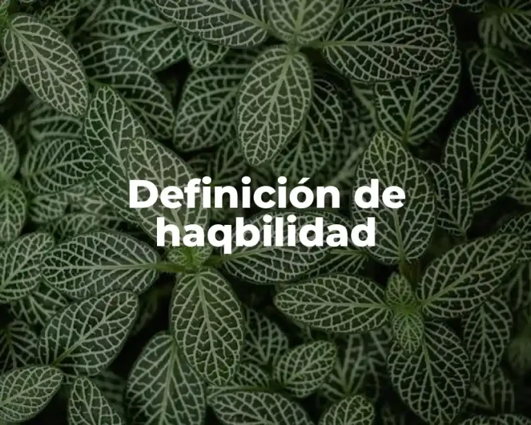 Definición de haqbilidad