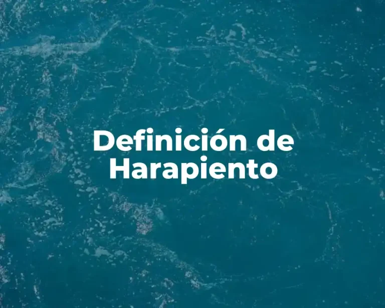 Definición de Harapiento