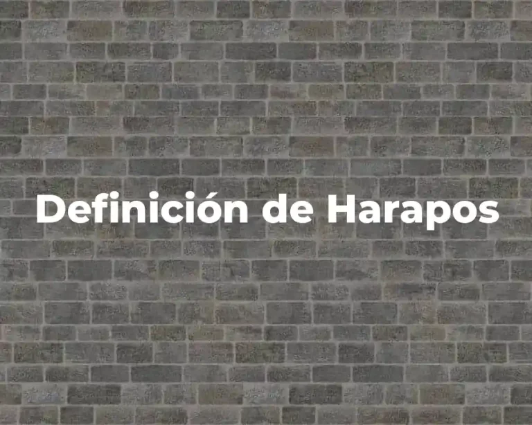 Definición de Harapos