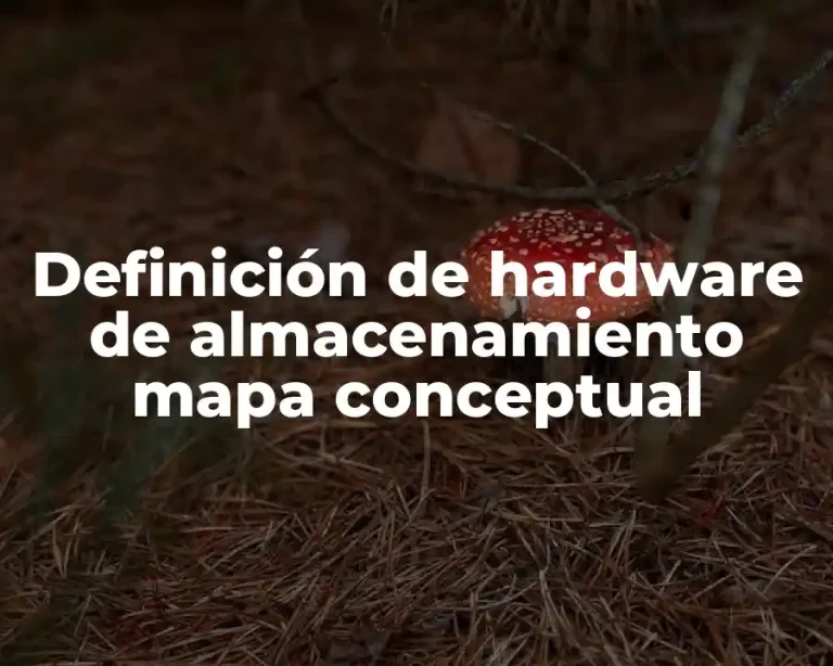 Definición de hardware de almacenamiento mapa conceptual