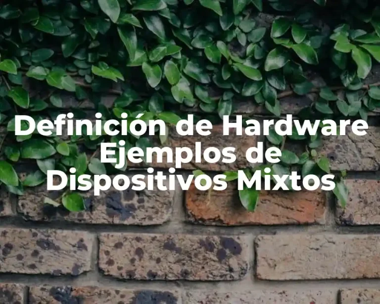 Definición de Hardware Ejemplos de Dispositivos Mixtos