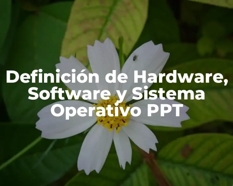 Definición de Hardware, Software y Sistema Operativo PPT
