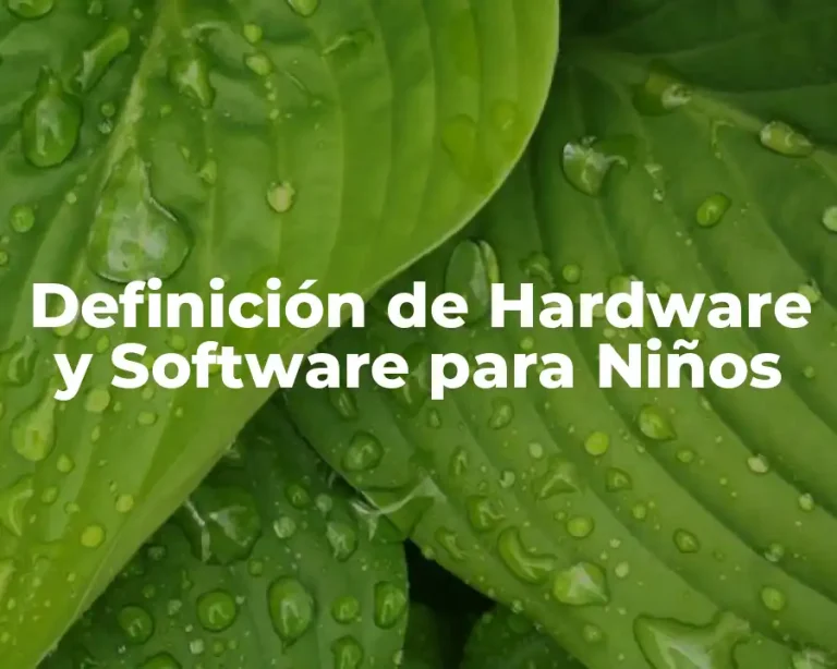 Definición de Hardware y Software para Niños