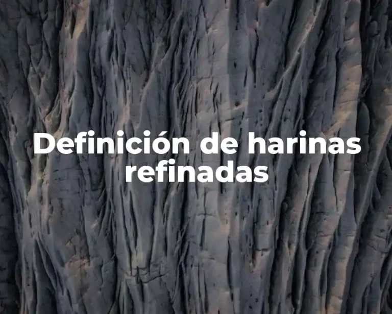 Definición de harinas refinadas