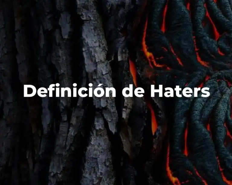 Definición de Haters