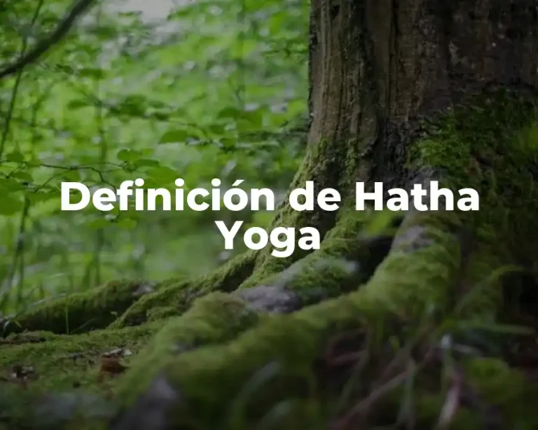 Definición de Hatha Yoga