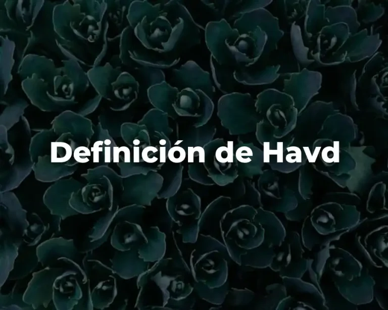 Definición de Havd
