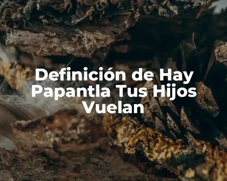 Definición de Hay Papantla Tus Hijos Vuelan