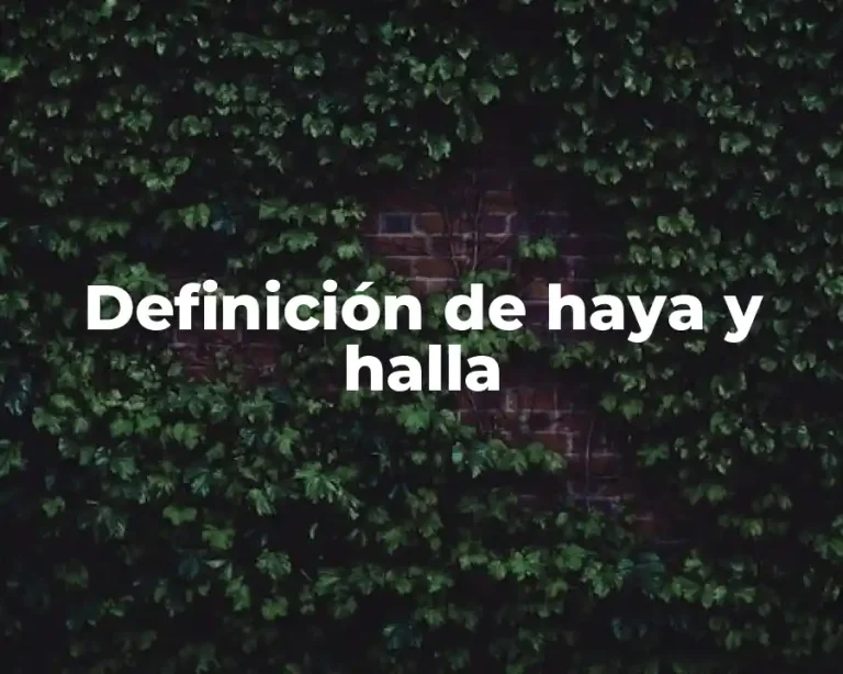 Definición de haya y halla