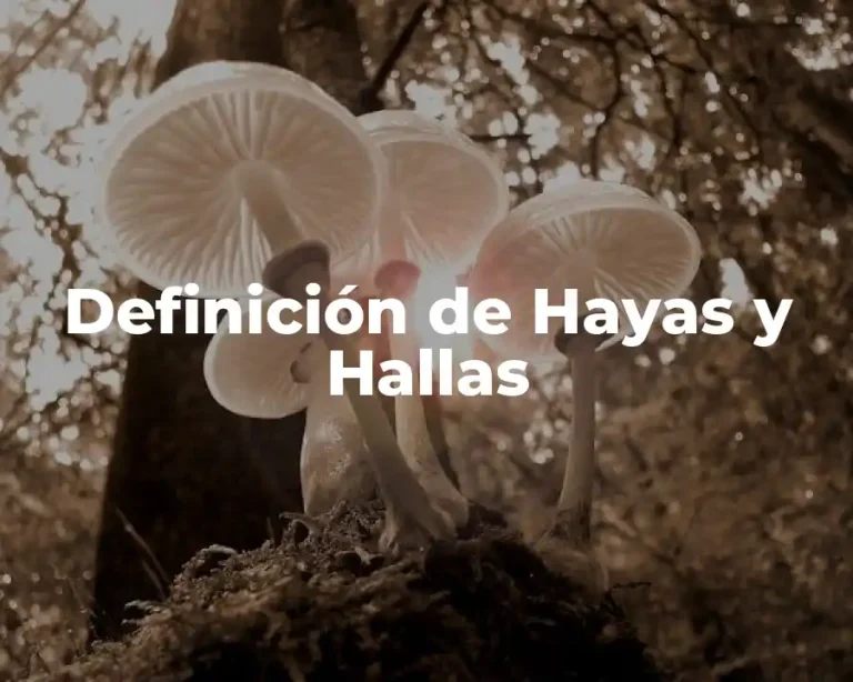 Definición de Hayas y Hallas