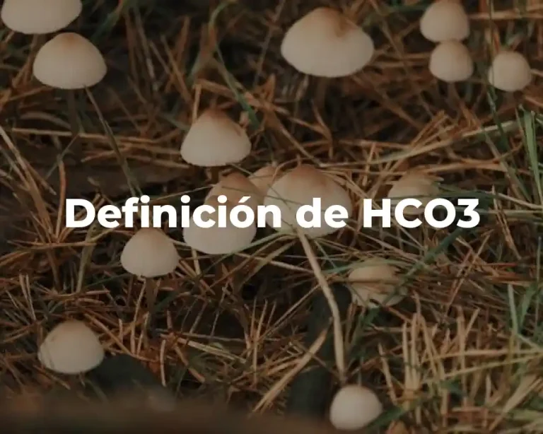 Definición de HCO3