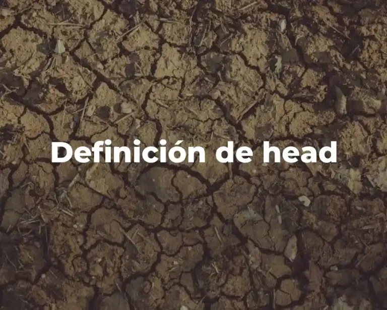 Definición de head