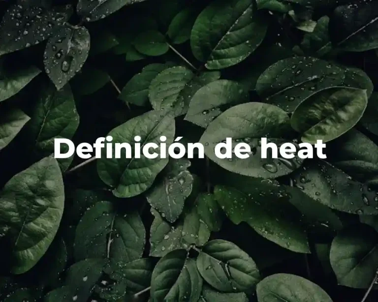 Definición de heat