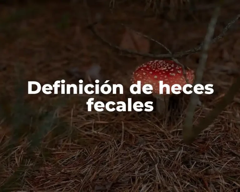 Definición de heces fecales