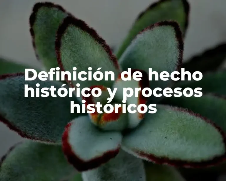 Definición de hecho histórico y procesos históricos