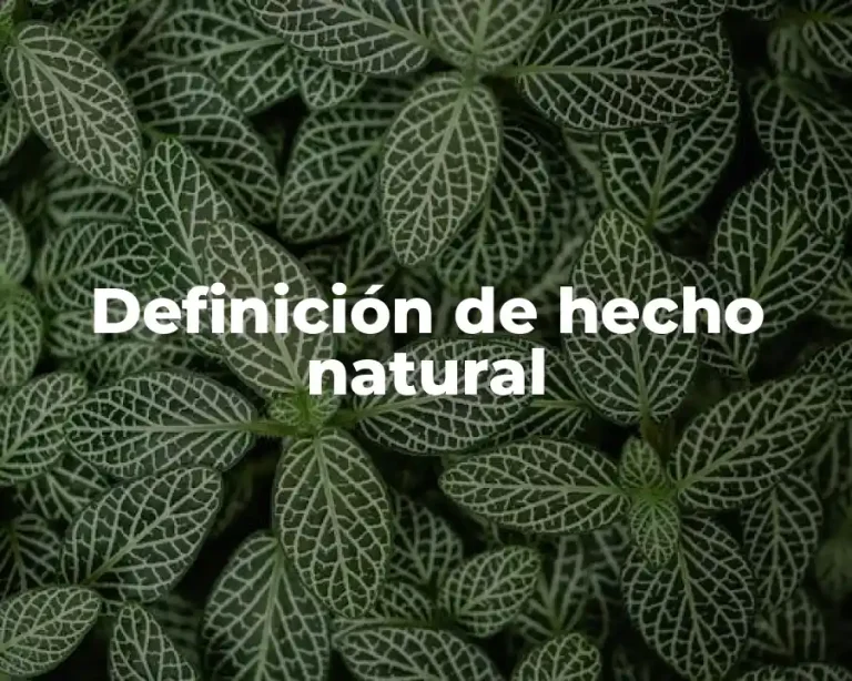 Definición de hecho natural