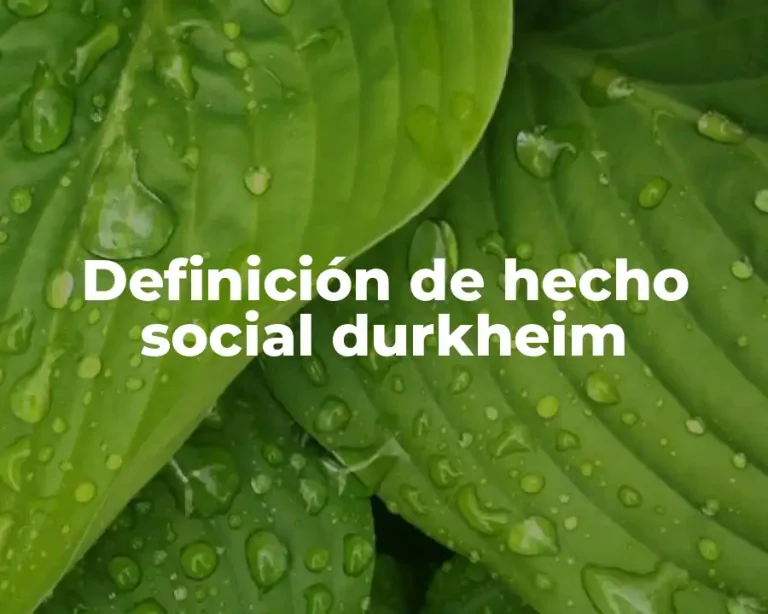 Definición de hecho social durkheim