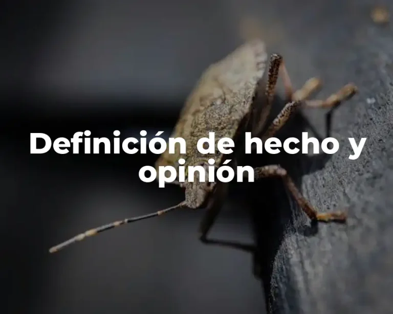 Definición de hecho y opinión