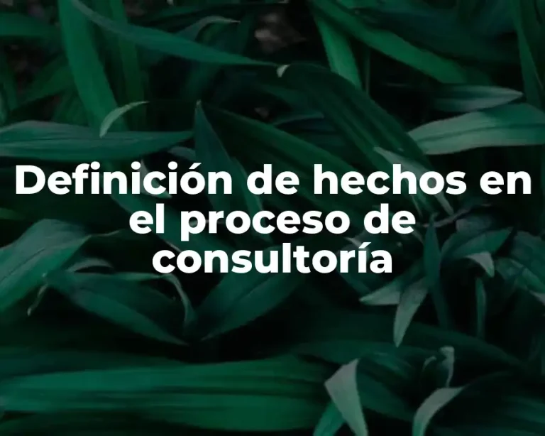 Definición de hechos en el proceso de consultoría