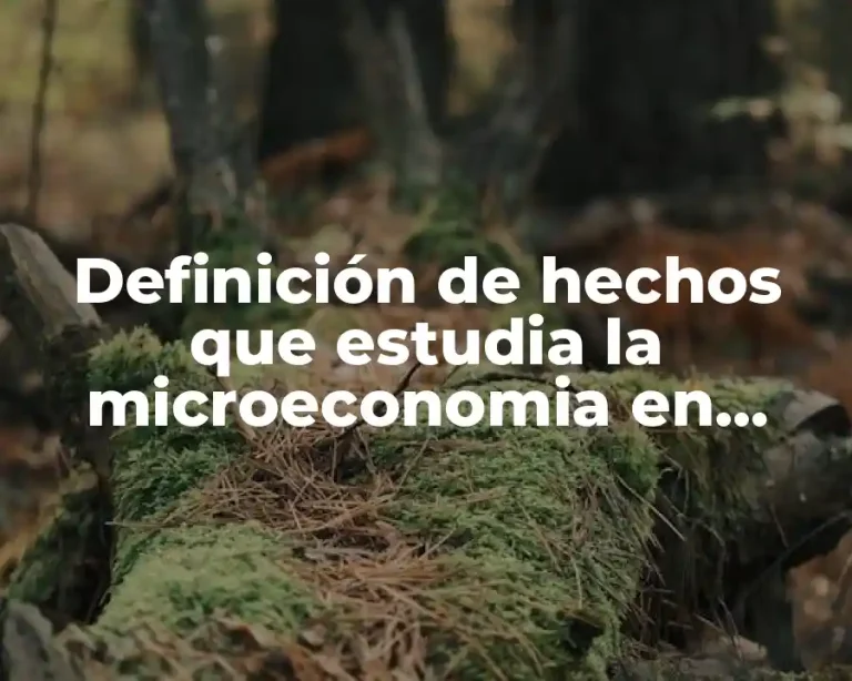 Definición de hechos que estudia la microeconomia en Culiacán