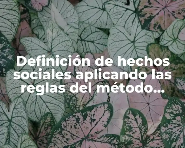 Definición de hechos sociales aplicando las reglas del método sociológico