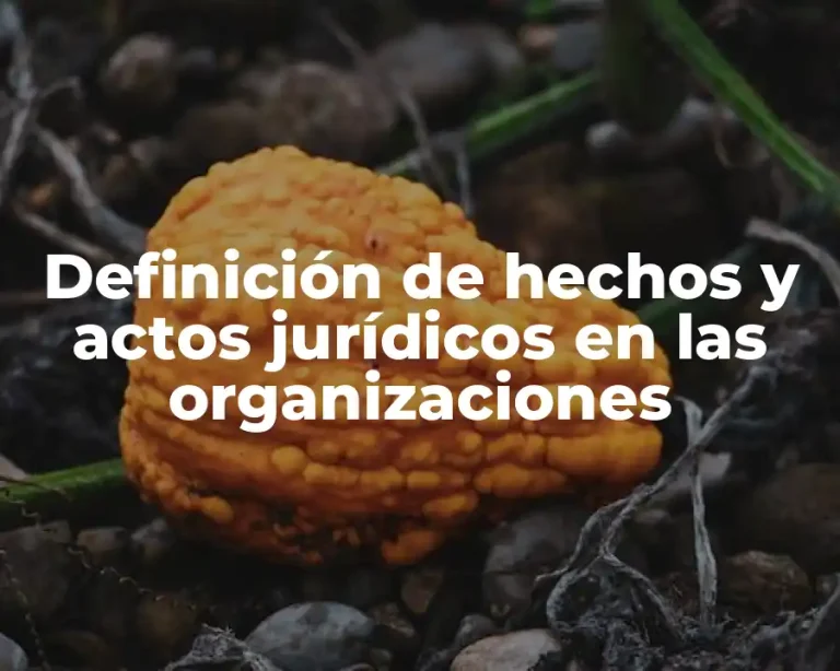 Definición de hechos y actos jurídicos en las organizaciones