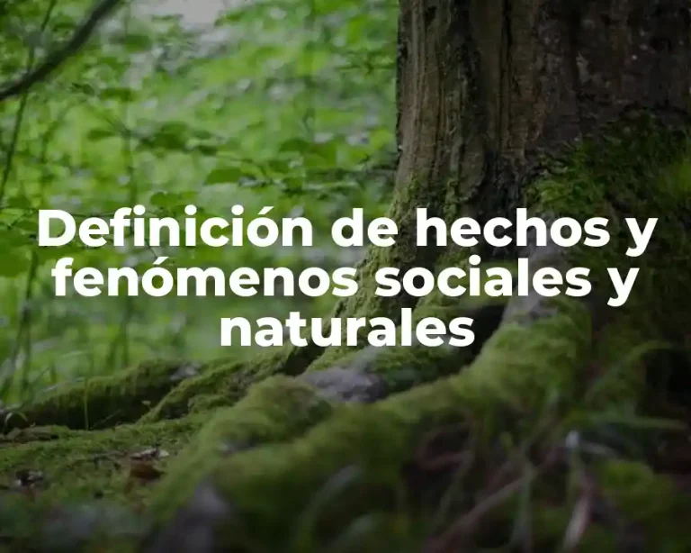 Definición de hechos y fenómenos sociales y naturales