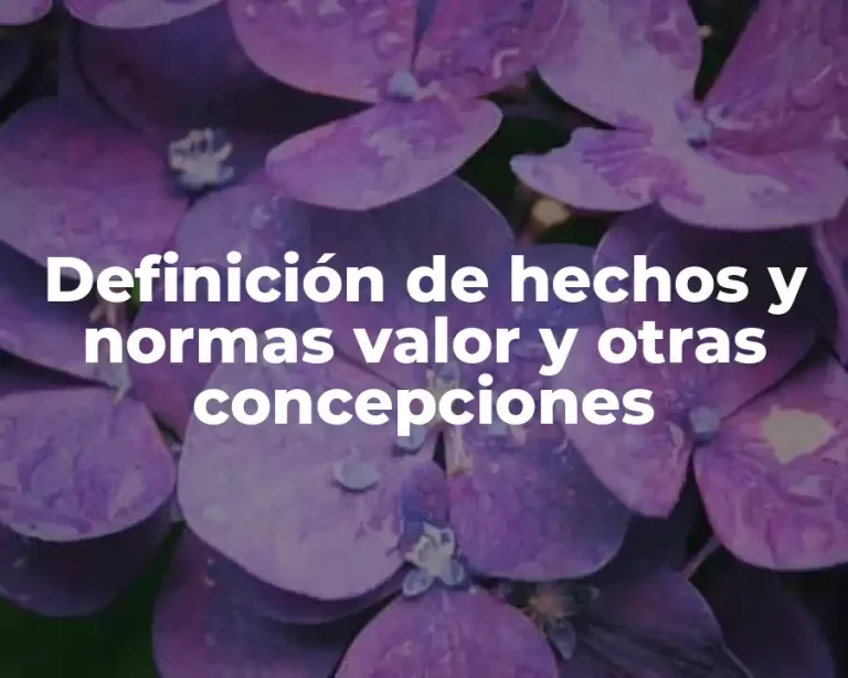 Definición de hechos y normas valor y otras concepciones