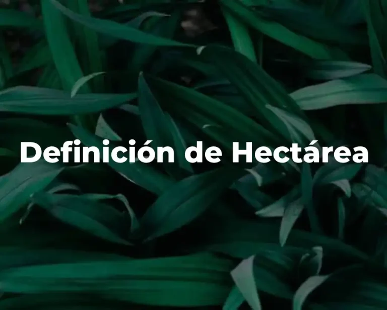 Definición de Hectárea
