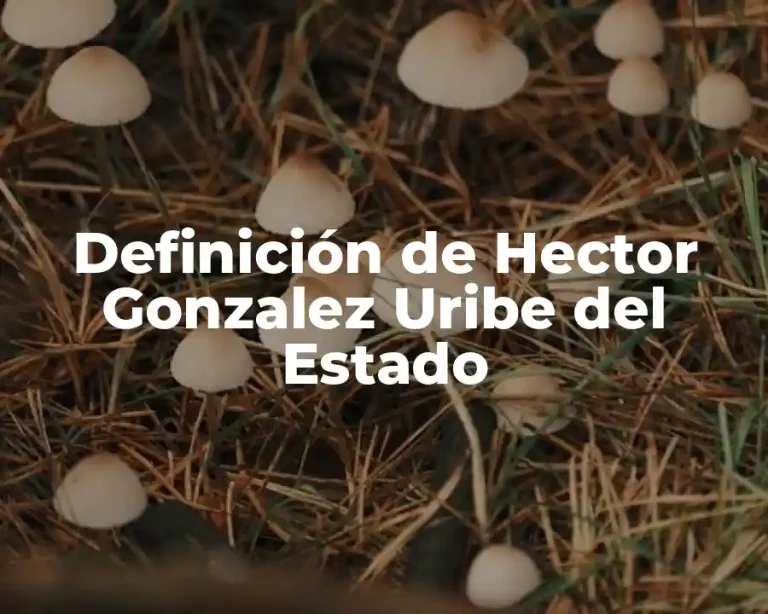 Definición de Hector Gonzalez Uribe del Estado