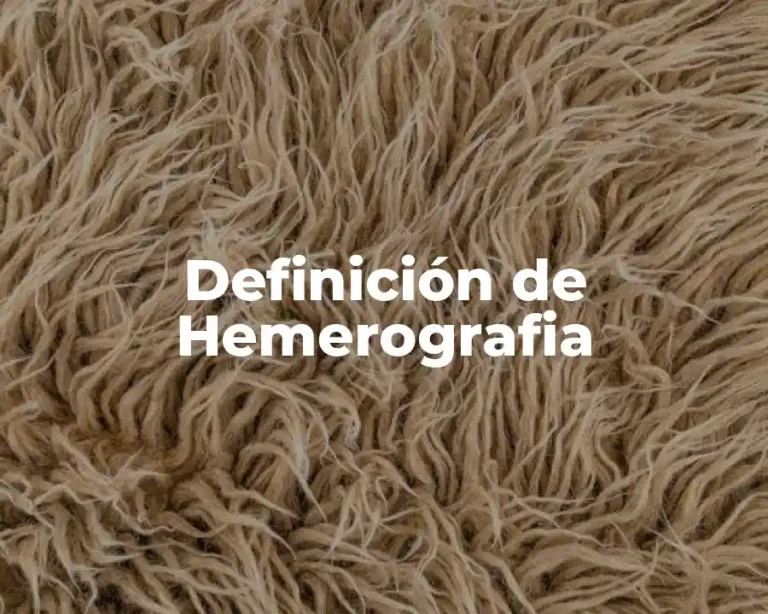 Definición de Hemerografia