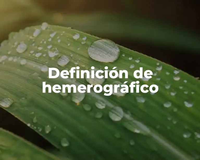Definición de hemerográfico