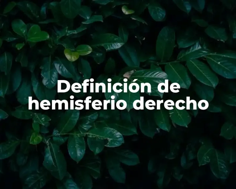 Definición de hemisferio derecho
