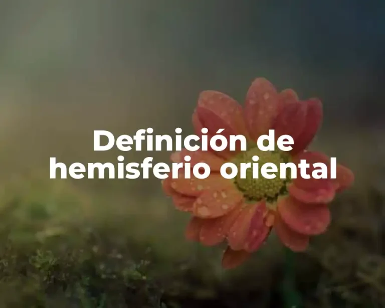 Definición de hemisferio oriental
