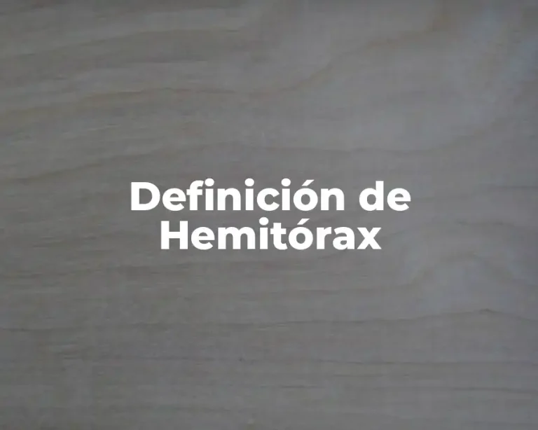 Definición de Hemitórax