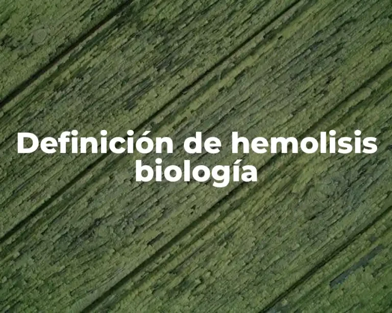 Definición de hemolisis biología