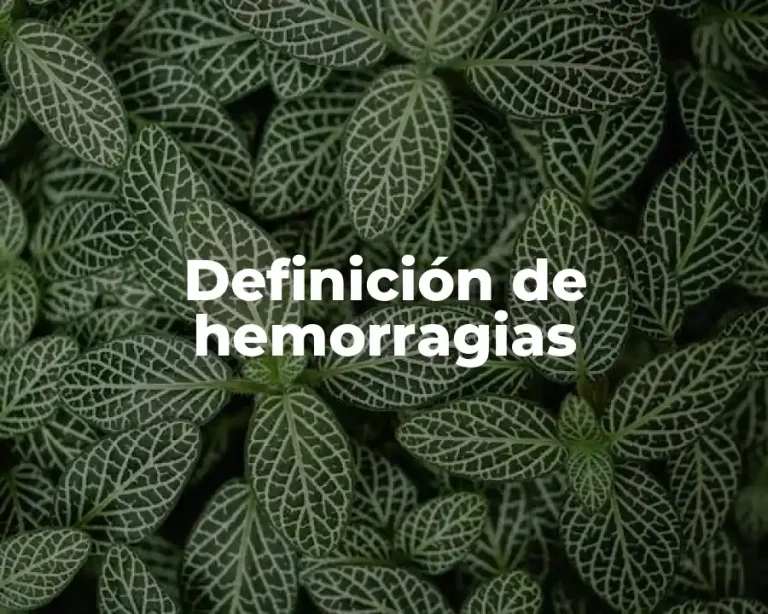 Definición de hemorragias