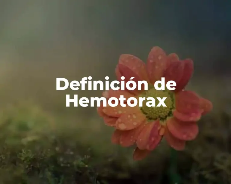 Definición de Hemotorax