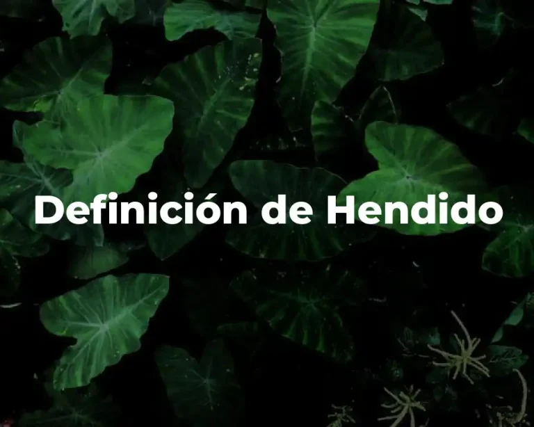 Definición de Hendido