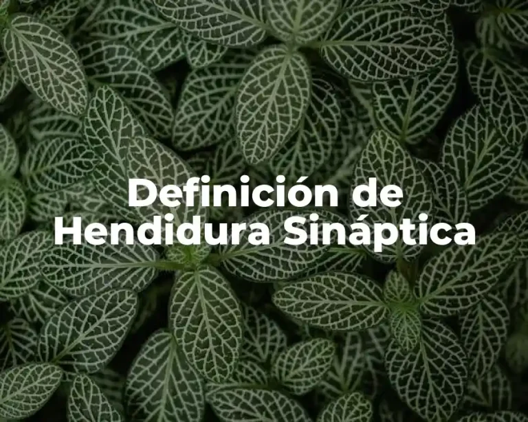 Definición de Hendidura Sináptica