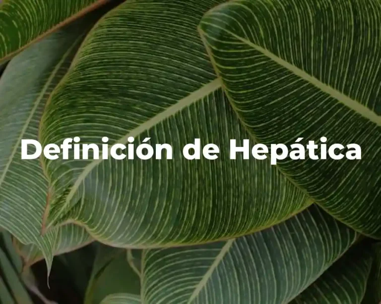 Definición de Hepática