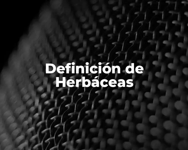 Definición de Herbáceas