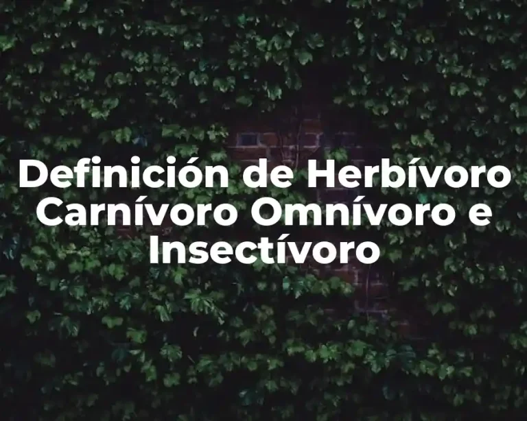 Definición de Herbívoro Carnívoro Omnívoro e Insectívoro