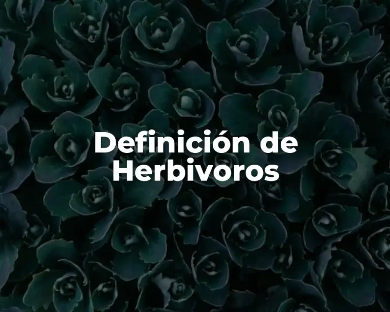 Definición de Herbivoros