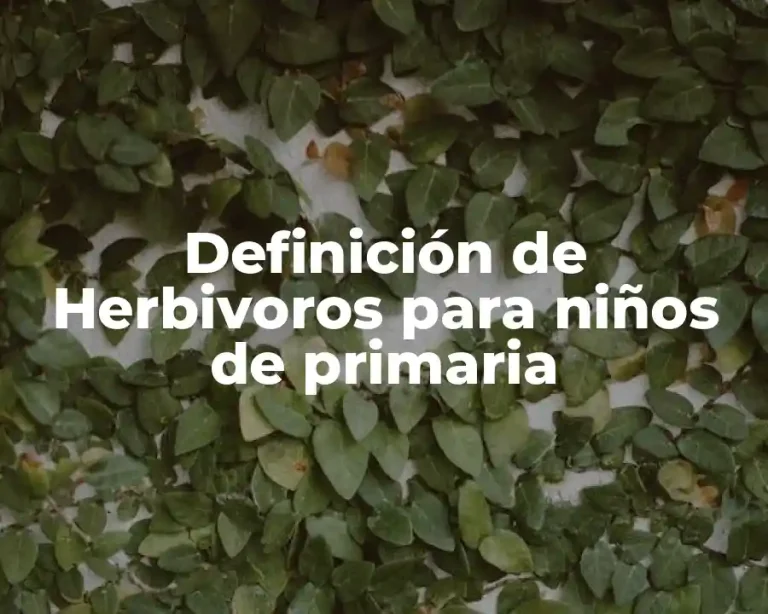 Definición de Herbivoros para niños de primaria