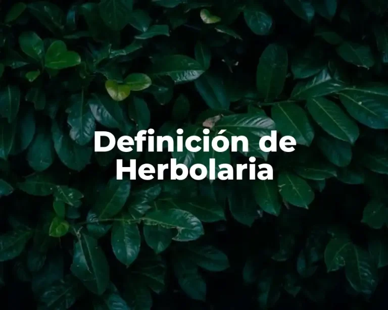 Definición de Herbolaria