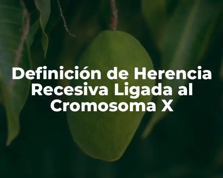 Definición de Herencia Recesiva Ligada al Cromosoma X