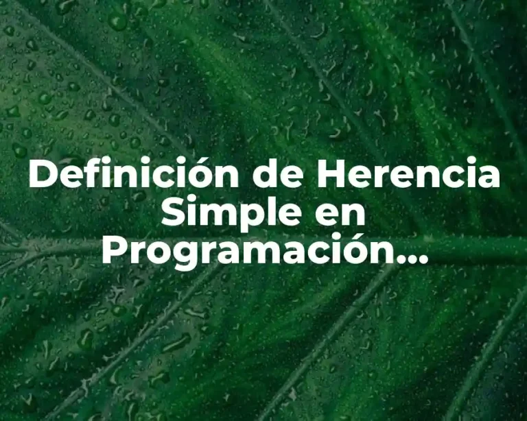 Definición de Herencia Simple en Programación Orientada a Objetos