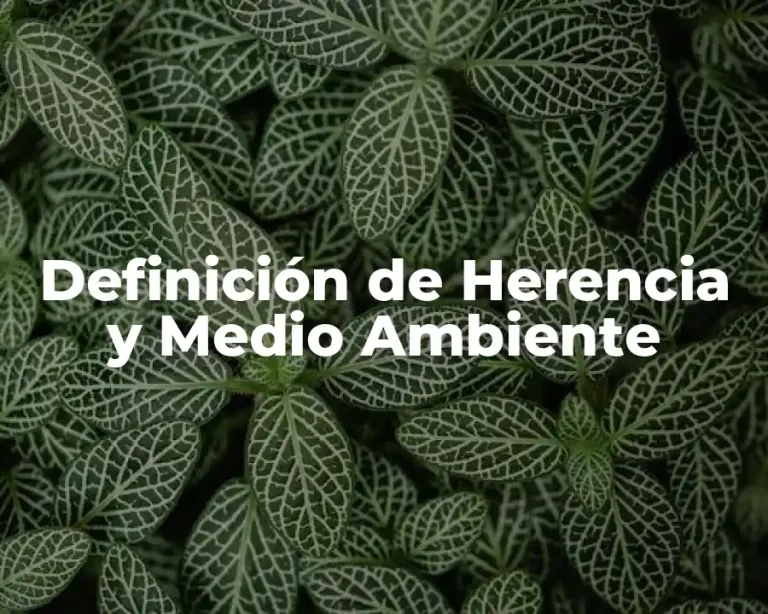 Definición de Herencia y Medio Ambiente