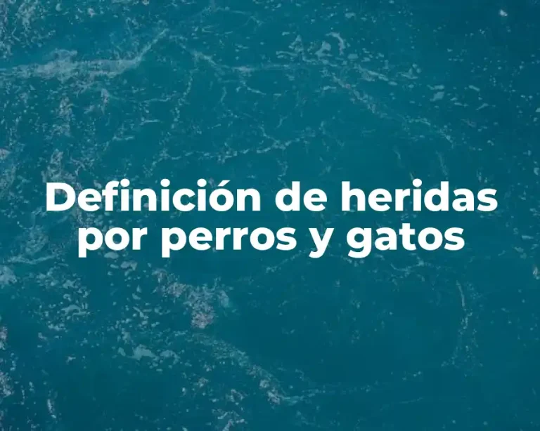 Definición de heridas por perros y gatos